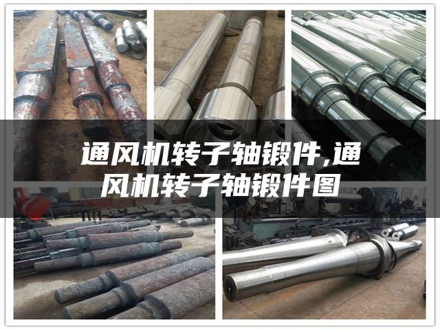 通风机转子轴锻件,通风机转子轴锻件图