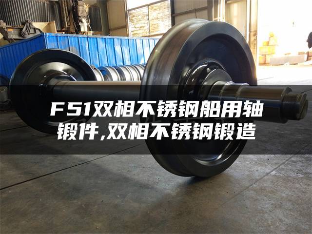 F51双相不锈钢船用轴锻件,双相不锈钢锻造