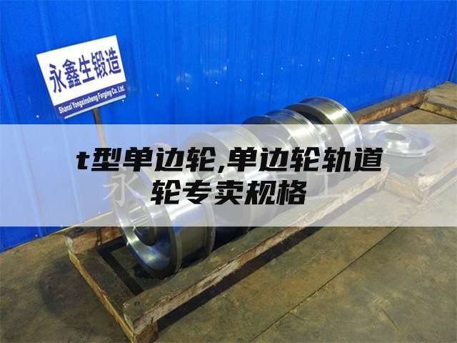 t型单边轮,单边轮轨道轮专卖规格