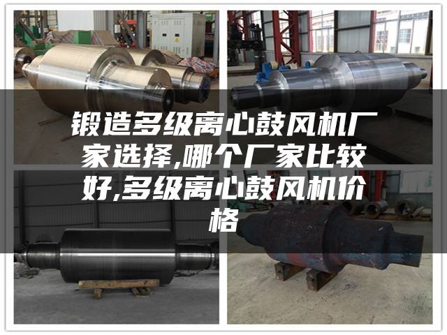 锻造多级离心鼓风机厂家选择,哪个厂家比较好,多级离心鼓风机价格