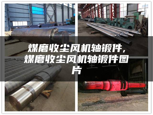 煤磨收尘风机轴锻件,煤磨收尘风机轴锻件图片