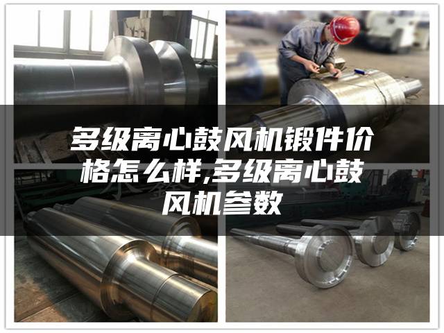 多级离心鼓风机锻件价格怎么样,多级离心鼓风机参数