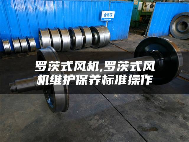 罗茨式风机,罗茨式风机维护保养标准操作
