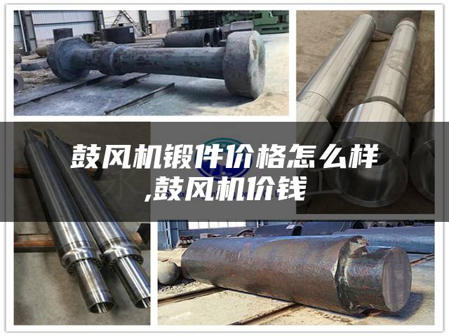 鼓风机锻件价格怎么样,鼓风机价钱