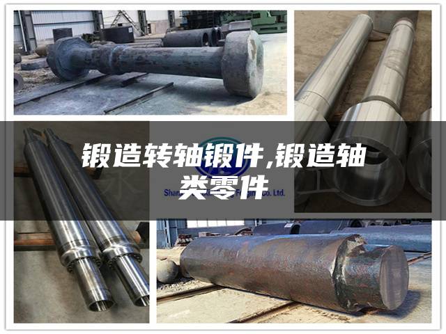 锻造转轴锻件,锻造轴类零件