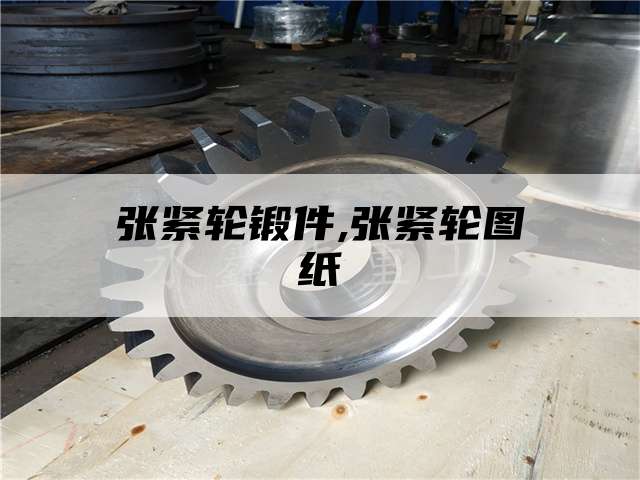 张紧轮锻件,张紧轮图纸