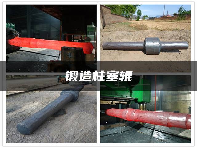 锻造柱塞辊