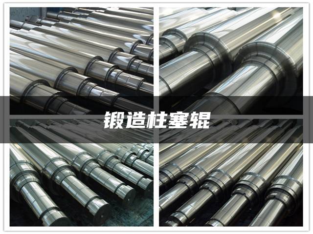 锻造柱塞辊