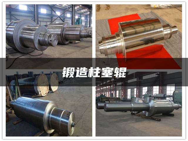锻造柱塞辊