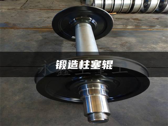 锻造柱塞辊