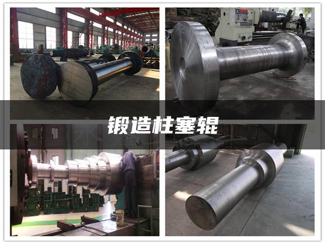 锻造柱塞辊