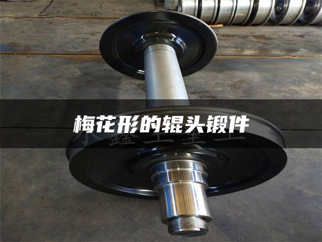 梅花形的辊头锻件
