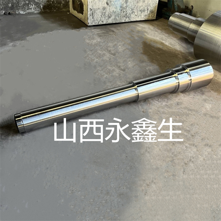 轴(10)