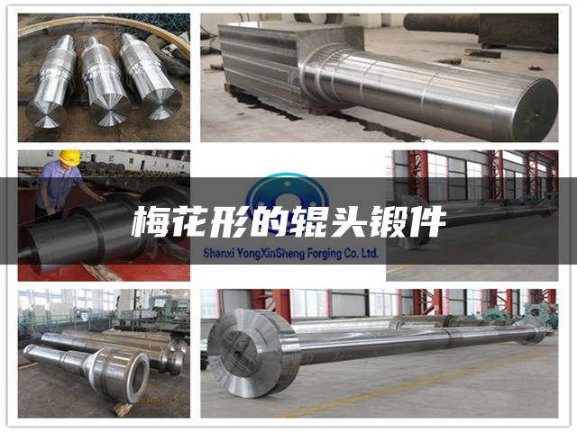 梅花形的辊头锻件