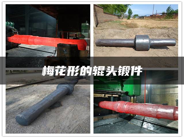 梅花形的辊头锻件