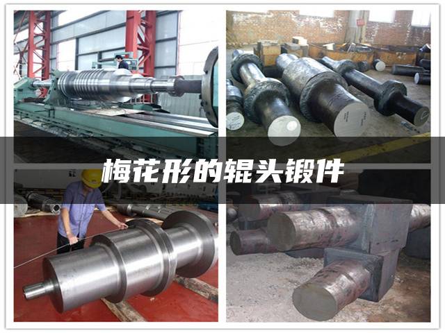 梅花形的辊头锻件
