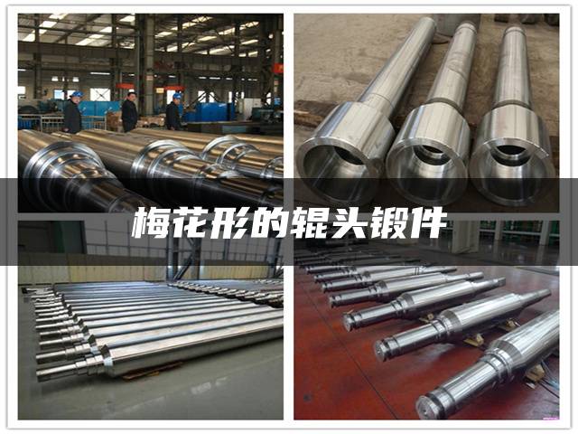 梅花形的辊头锻件