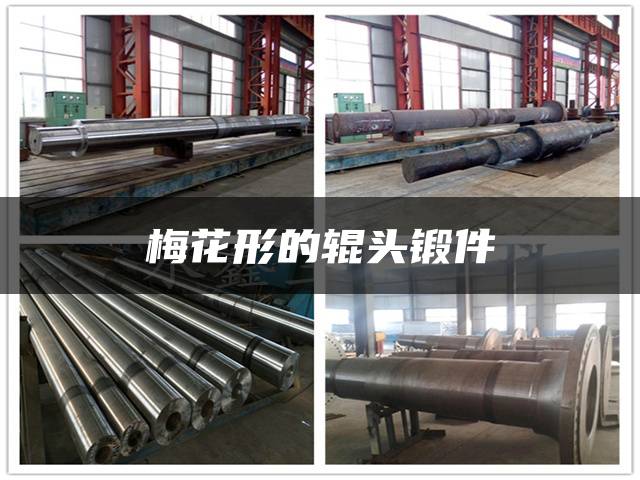 梅花形的辊头锻件