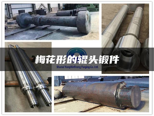 梅花形的辊头锻件