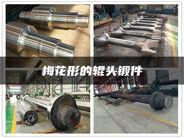 梅花形的辊头锻件