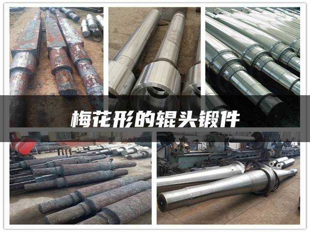 梅花形的辊头锻件
