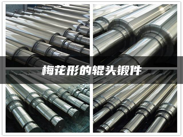 梅花形的辊头锻件