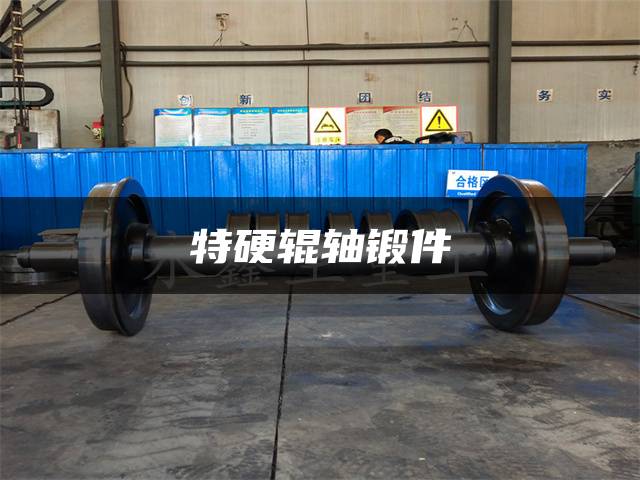 特硬辊轴锻件