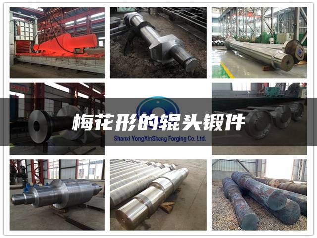 梅花形的辊头锻件