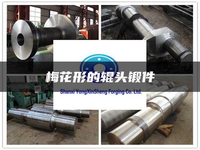 梅花形的辊头锻件