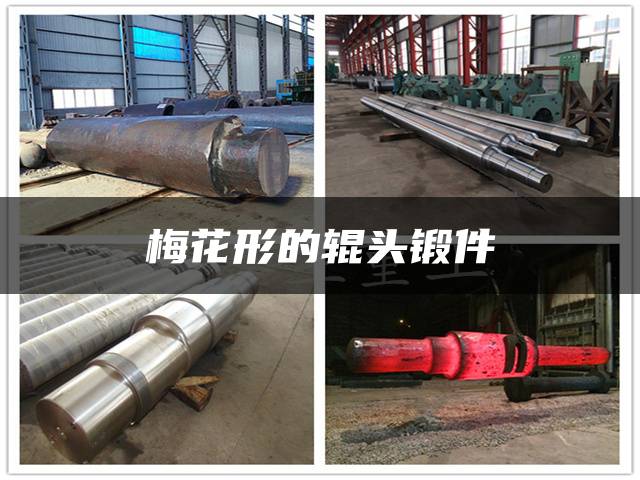 梅花形的辊头锻件