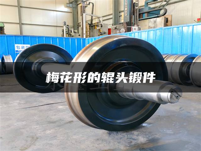 梅花形的辊头锻件