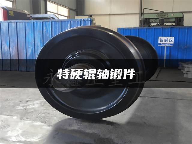 特硬辊轴锻件